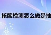 核酸檢測怎么做是抽血嗎（需要怎么做檢測）