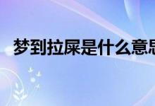 夢到拉屎是什么意思（為什么會夢到拉屎）