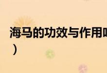 海馬的功效與作用吃法（海馬如何吃有什么用）
