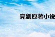 亮劍原著小說（亮劍小說簡介）