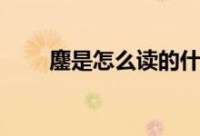 鏖是怎么讀的什么意思（鏖的意思）