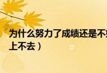 為什么努力了成績還是不好怎么辦（努力了為什么成績還是上不去）