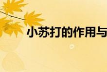 小蘇打的作用與功效（小蘇打介紹）