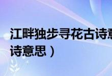 江畔獨(dú)步尋花古詩(shī)意思解釋(江畔獨(dú)步尋花古詩(shī)意思)