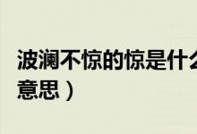 波瀾不驚的驚是什么梗（波瀾不驚的驚是什么意思）