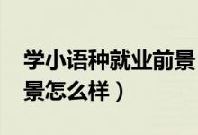 學小語種就業(yè)前景（2022小語種專業(yè)就業(yè)前景怎么樣）
