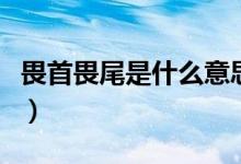 畏首畏尾是什么意思（詞語畏首畏尾什么意思）