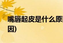 嘴唇起皮是什么原因(嘴唇很會脫皮是什么原因)