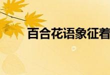 百合花語象征著什么（百合花花語）