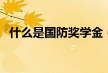 什么是國(guó)防獎(jiǎng)學(xué)金（國(guó)防獎(jiǎng)學(xué)金一年多少）