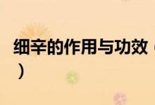 細(xì)辛的作用與功效（細(xì)辛的作用與功效是什么）