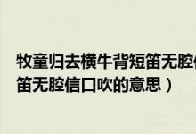 牧童歸去橫牛背短笛無腔信口吹的意思（牧童歸去橫牛背短笛無腔信口吹的意思）
