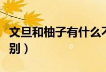 文旦和柚子有什么不同（文旦和柚子有什么區(qū)別）