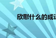 欣慰什么的成語（欣慰什么意思）