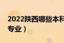 2022陜西哪些本科大學(xué)開設(shè)?？疲ǘ加惺裁磳I(yè)）