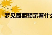 夢見葡萄預示著什么（九種情況為你解析）