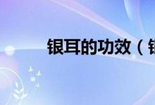 銀耳的功效（銀耳的功效是什么）