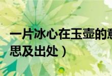 一片冰心在玉壺的意思（一片冰心在玉壺的意思及出處）