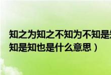知之為知之不知為不知是知也的意思（知之為知之不知為不知是知也是什么意思）