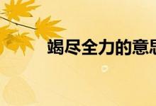 竭盡全力的意思（竭盡全力釋義）