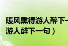 暖風熏得游人醉下一句是什么意思（暖風熏得游人醉下一句）