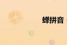 蟬拼音（蟬怎么讀）