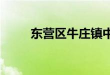 東營區(qū)牛莊鎮(zhèn)中心小學的地址在哪