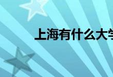 上海有什么大學(xué)（上海大學(xué)舉例）