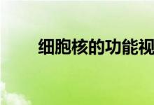細(xì)胞核的功能視頻（細(xì)胞核的功能）