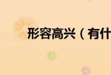 形容高興（有什么表達(dá)高興的詞語(yǔ)）