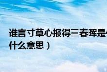 誰(shuí)言寸草心報(bào)得三春暉是什么詩(shī)（誰(shuí)言寸草心報(bào)得三春暉是什么意思）
