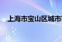上海市寶山區(qū)城市實驗幼兒園的地址在哪