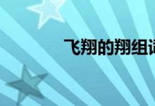 飛翔的翔組詞（翔怎么組詞）