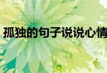 孤獨的句子說說心情（孤獨的句子句句戳心）