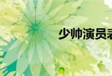 少帥演員表（少帥簡(jiǎn)介）