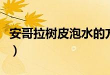 安哥拉樹皮泡水的方法（安哥拉樹皮泡水方法）