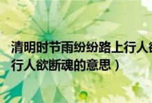 清明時節(jié)雨紛紛路上行人欲斷魂日文（清明時節(jié)雨紛紛 路上行人欲斷魂的意思）