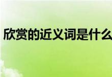 欣賞的近義詞是什么（欣賞可以怎么造句呢）