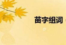 苗字組詞（漢字苗組詞）