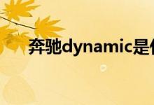 奔馳dynamic是什么意思（你懂了嗎）