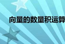 向量的數(shù)量積運算公式（向量的數(shù)量積）