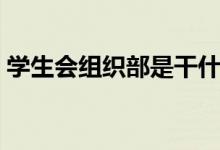 學生會組織部是干什么的（工作內(nèi)容有哪些）