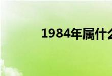 1984年屬什么（1984年屬鼠）