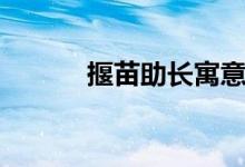 揠苗助長寓意（揠苗助長寓意）