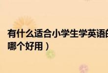 有什么適合小學(xué)生學(xué)英語(yǔ)的軟件?（小學(xué)生學(xué)英語(yǔ)的軟件app哪個(gè)好用）
