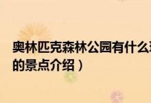 奧林匹克森林公園有什么玩的（奧林匹克森林公園里面好玩的景點(diǎn)介紹）