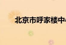 北京市呼家樓中心幼兒園的地址在哪