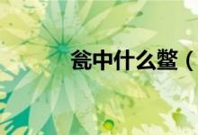 甕中什么鱉（甕中捉鱉的介紹）