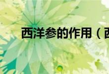 西洋參的作用（西洋參的作用是什么）