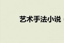 藝術(shù)手法小說(shuō)（藝術(shù)手法有哪些）
